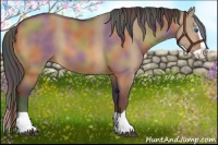 Horse Color:Nacre Bay Dun Splash 