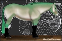 Horse Color:Watercolor Bay Onyx 