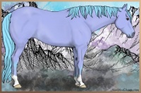Horse Color:Watercolor Bay 
