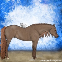 Horse Color:Liver Red Dun Brindle 