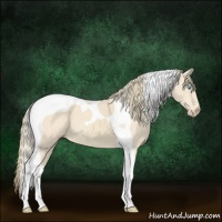 Horse Color:Perlino Tobiano 
