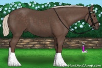 Horse Color:Silver Black 