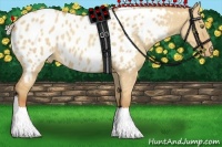Horse Color:Silver Classic Champagne Dun Near Leopard