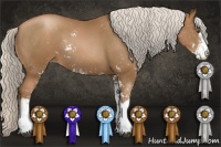 Horse Color:Silver Black Pearl Sabino Rabicano 