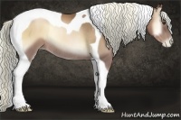 Horse Color:Liver Red Onyx Pearl Tobiano Rabicano 