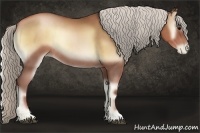 Horse Color:Silver Blue Onyx Pearl Rabicano