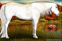 Horse Color:Silver Classic Champagne Dun Splash Frame