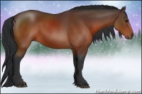 Horse Color:Brown 