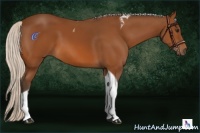 Horse Color:Silver Bay Tobiano