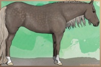 Horse Color:Silver Black 