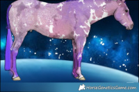 Horse Color:Watercolor White Spotted Brown Ice