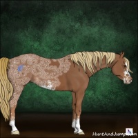 Horse Color:Chestnut Ice Sabino 