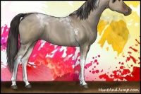 Horse Color:Liver Red Dun Tobiano Rabicano