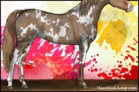 Horse Color:White Spotted Liver Red Dun 