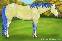 Horse Color:Watercolor Buckskin Ice Splash