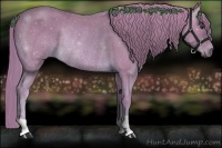 Horse Color:Watercolor Chestnut Rabicano 