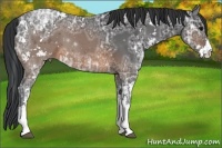 Horse Color:Brown Ice Sabino