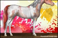 Horse Color:Plaid  White Spotted Buckskin Pearl Dun Tobiano Rabicano 
