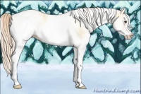 Horse Color:White Spotted Palomino Onyx 