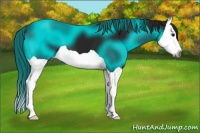 Horse Color:Gray Black Splash