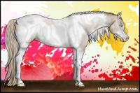 Horse Color:Chocolate Palomino Pearl Sabino Tobiano Frame