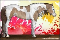 Horse Color:Liver Red Dun Sabino Splash Tobiano