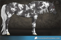 Horse Color:White Spotted Silver Smoky Black Chinchilla 