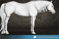 Horse Color:White Spotted Chocolate Silver Smoky Creme Chinchilla 