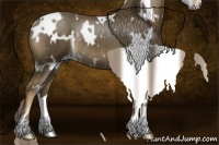 Horse Color:White Spotted Chocolate Palomino Sabino Rabicano 