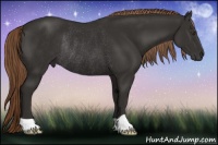 Horse Color:Liver Chestnut Rabicano 