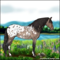 Horse Color:Brown Roan Dun Blanket Brindle