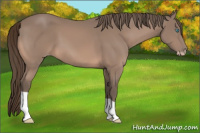 Horse Color:Gray Perlino