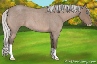 Horse Color:Gray Silver Perlino Roan 