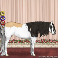 Horse Color:Gray Buckskin Dun Splash