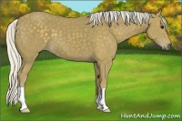 Horse Color:Silver Smoky Black 
