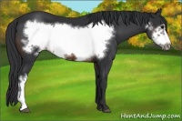 Horse Color:Brown Frame 