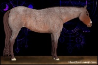 Horse Color:Chocolate Brown Roan Varnish 