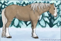 Horse Color:Silver Smoky Black Sabino