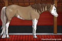 Horse Color:Liver Red Dun Splash