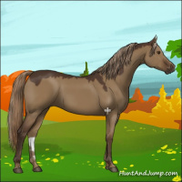 Horse Color:Liver Red Dun 
