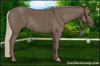 Horse Color:Silver Black 