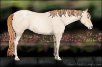 Horse Color:Amber Champagne Roan Pearl 