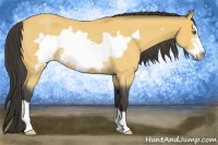Horse Color:Buckskin Roan Frame Rabicano