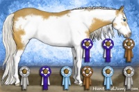 Horse Color:Silver Buckskin Sabino Splash Frame Rabicano