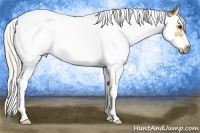 Horse Color:White Spotted Silver Buckskin Splash Tobiano Frame Rabicano 