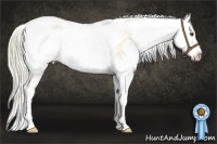 Horse Color:Silver Buckskin Dun Sabino Splash 