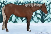 Horse Color:Silver Bay 