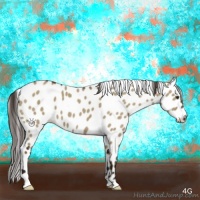Horse Color:Liver Red Dun Appaloosa Brindle