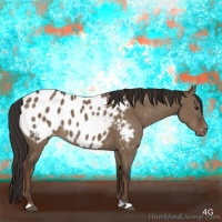 Horse Color:Liver Red Dun Appaloosa Brindle 