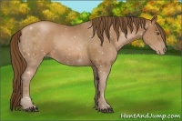 Horse Color:Brown Pearl 